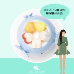 ¿Qué son los Fawaxjes de Faroxi?